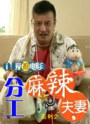 乡村特色的故事